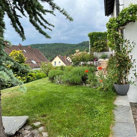 Ferienwohnung Jardin De Lavande Фридинген-на-Дунае Экстерьер фото