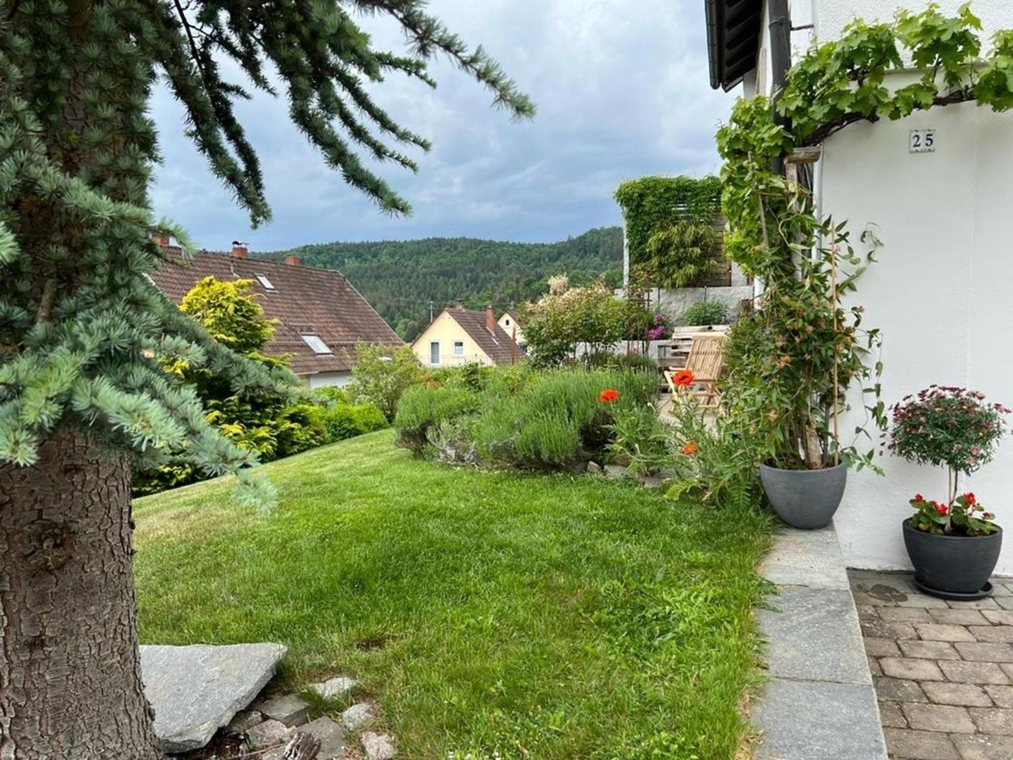 Ferienwohnung Jardin De Lavande Фридинген-на-Дунае Экстерьер фото